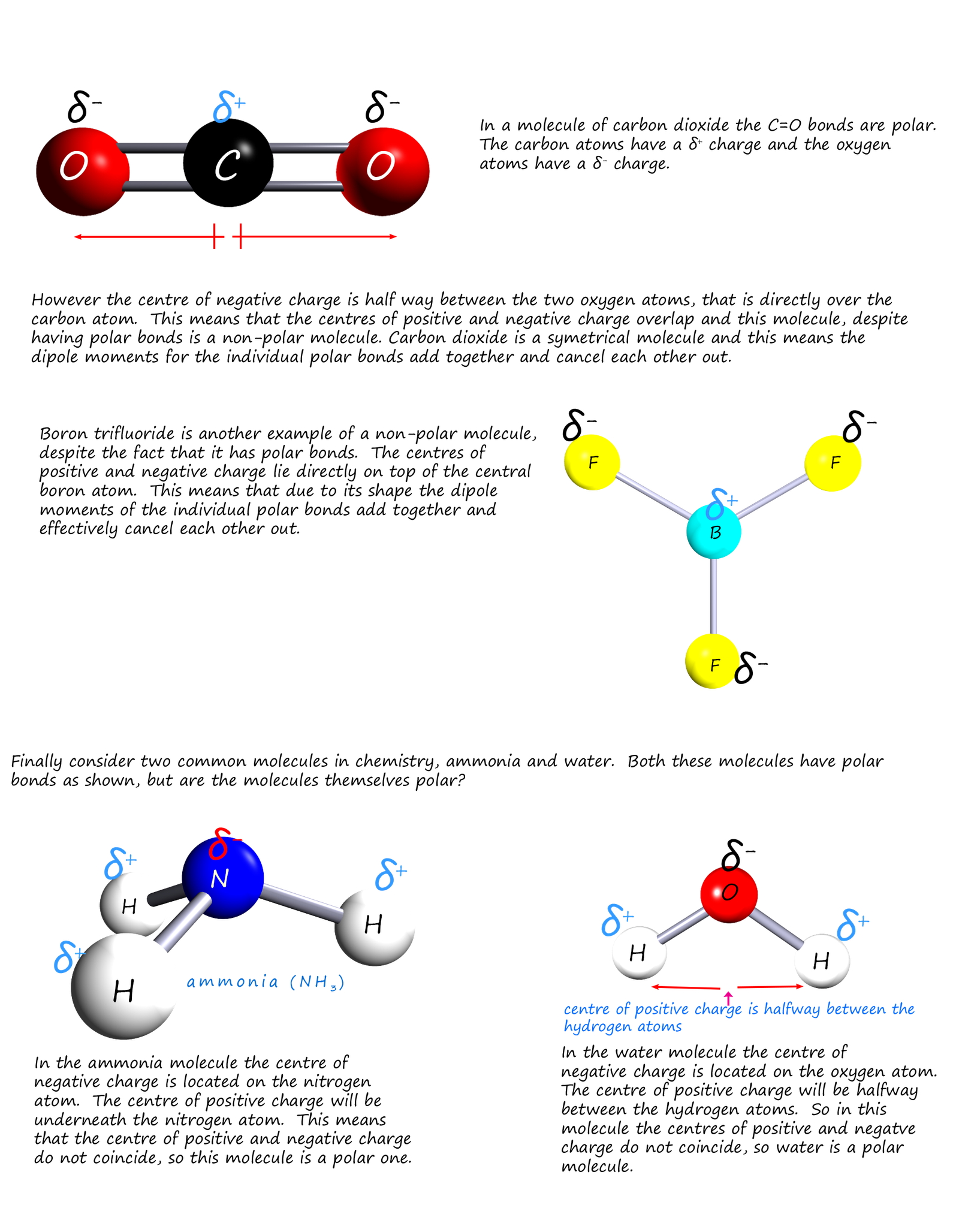 Electronegativity and polar bonds
